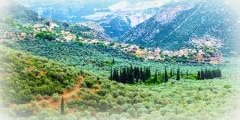 Valley of Amfissa,  is a town in Phocis, Greece, part of the mun