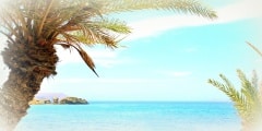 Seascape with blue sky, sea and palm trees