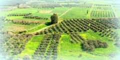 Crete Landscape View
