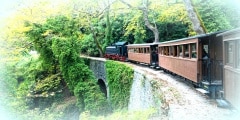 The old traditional train on Mount Pelion, Greece