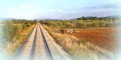 landscape with railway in Greece