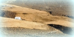 Little white chapel