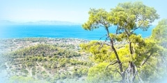 Panoramic landscape of Aegina island