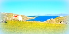 Spring meadows over the town of Mykonos and Tinos island in the