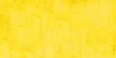 fondo amarillo
