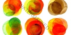 Watercolor hand painted circles collection