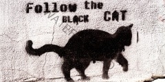 black cat graffiti