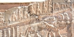 Bull and lion fighting on the bas-relief of Persepolis palace walls, Iran