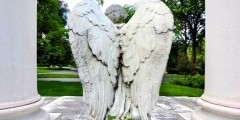 Majestic angel with wings on unknown tomb - landscape color phot