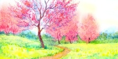 Watercolor spring landscape. Flowering tree in a field