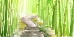 Single path alley through green bamboo forest original watercolo