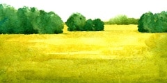 Watercolor illustration of a summer landscape