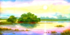 Sunrise miracle