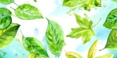 Hand drawn watercolor seamless pattern with green leaves on the white blue background.