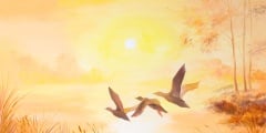 oil painting-Cranes at sunset, art work