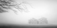 mysterious house in the forest with fog