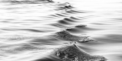 Onde Mare Bianco e Nero
