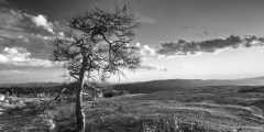 Bald Rock