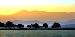 Morning light with cold mist.