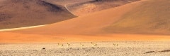 High Altiplano plateau, Eduardo Avaroa Andean Fauna National Reserve, Bolivia