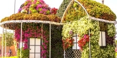 Amazing colorful house of flowers in the Miracle Garden park in