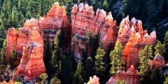 First rays of the sun striking Bryce Canyon