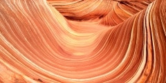 The Wave
