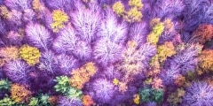 Fall from Above 2