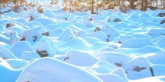 Stone fields in the Ural mountains.